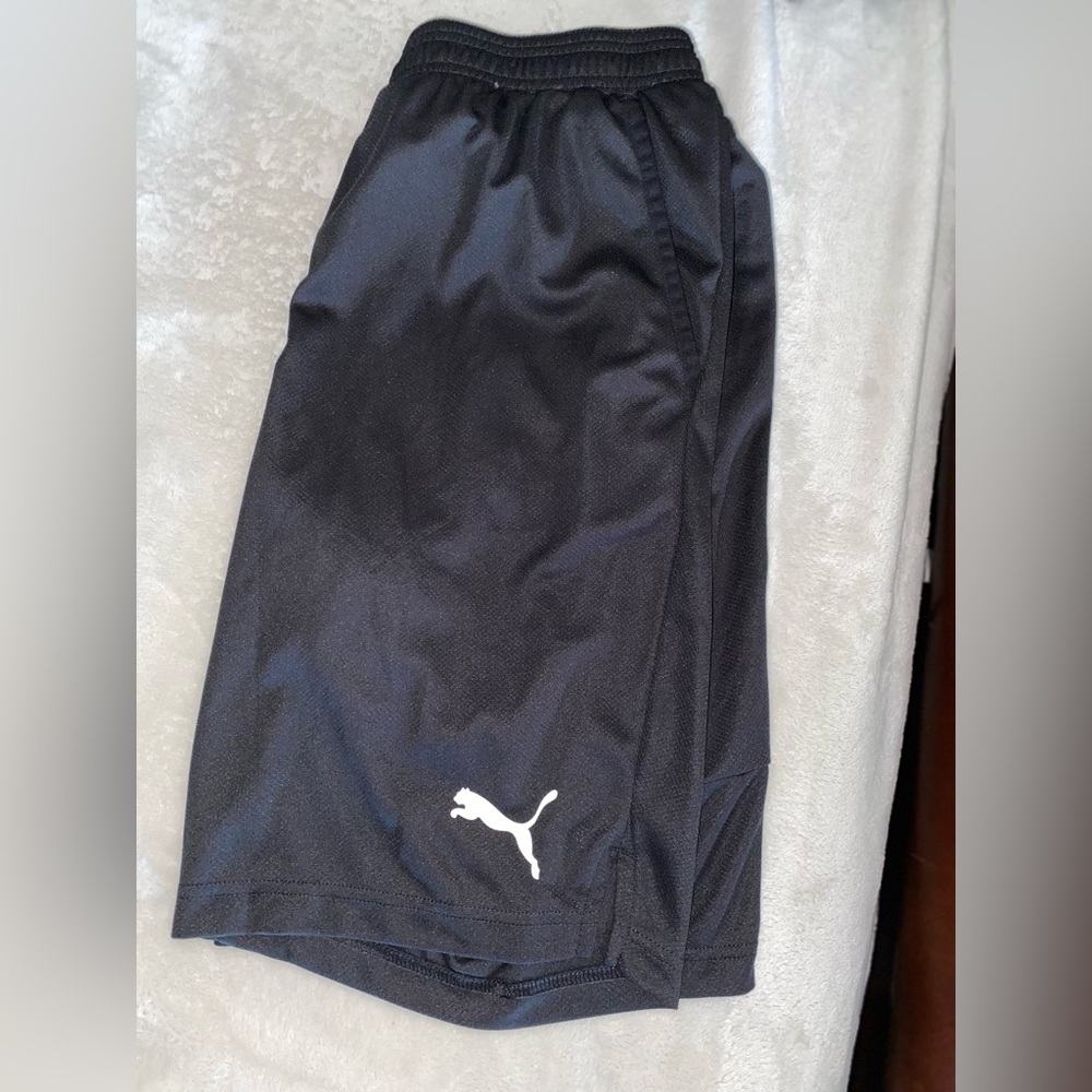 Puma shorts and tank